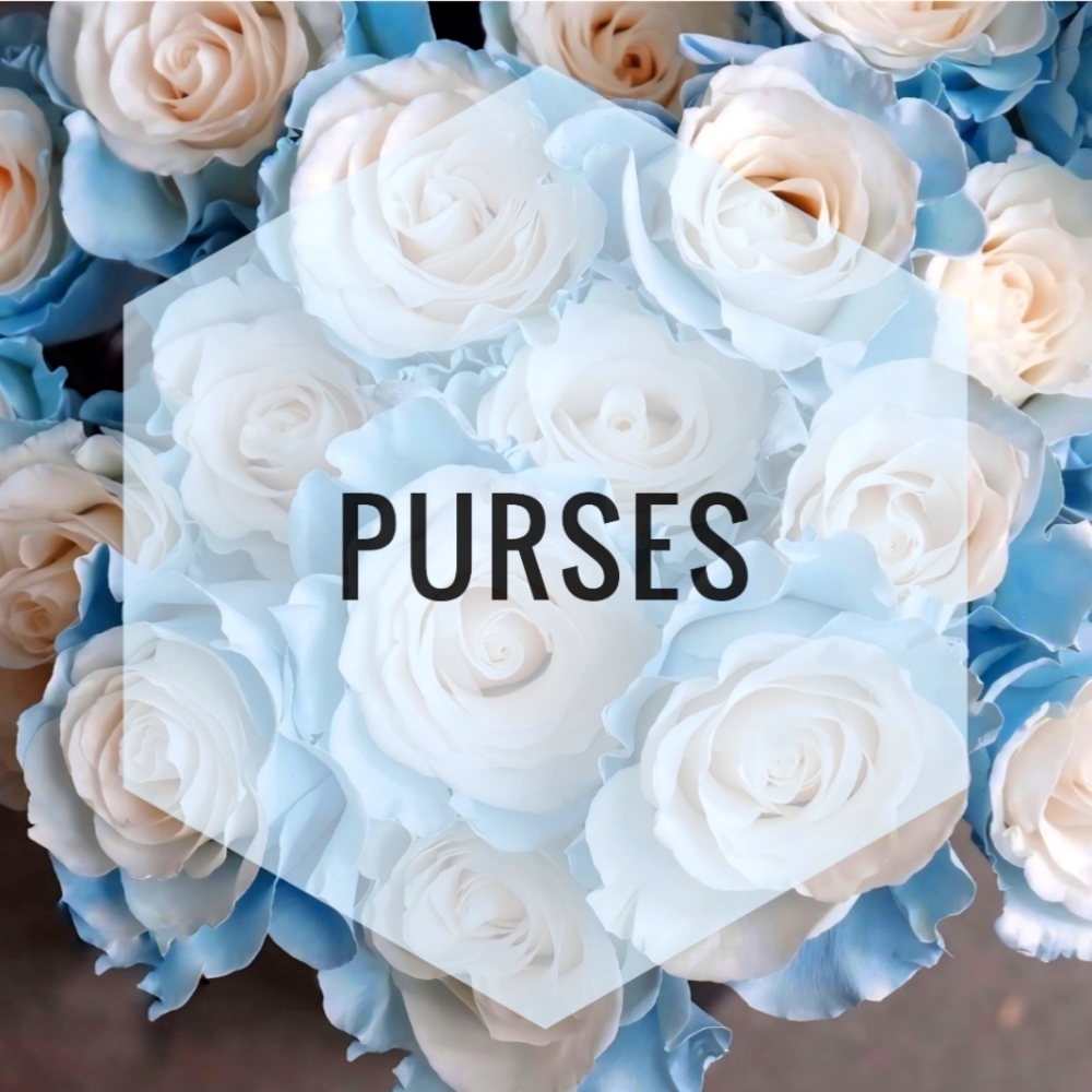 PURSES!! PURSES!!